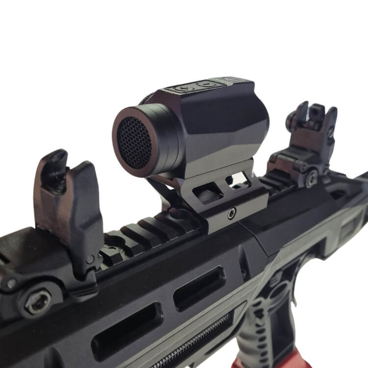 כוונות מותקנות על מסילה פיקטינית