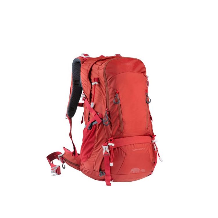 תרמיל למטיילים, 65 ליטר + 10 ל’ – GoNature MCKINLEY – בורדו